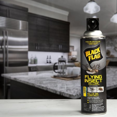 Black Flag Aerosol Insect Killer 18 oz HG-11076